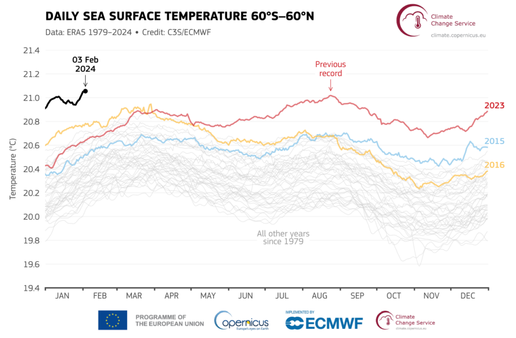 Temperatur der Meeresoberfläche über den extrapolaren globalen Ozean (60°S-60°N)